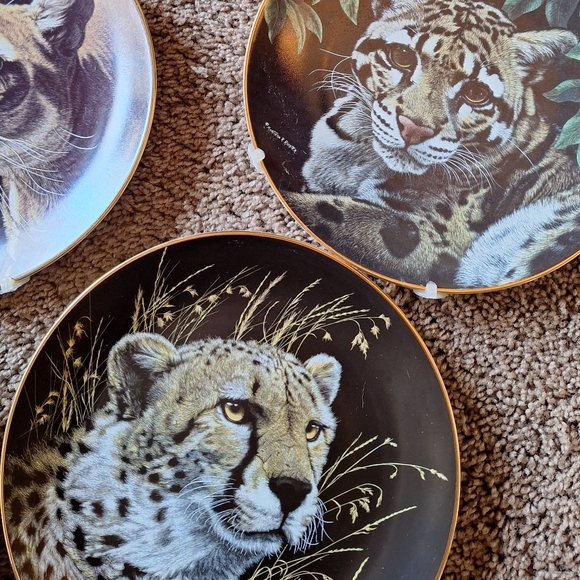 Vintage Set of 8 Nature's Majestic Cats Plates The Hamilton Collection - Picture 9 of 11